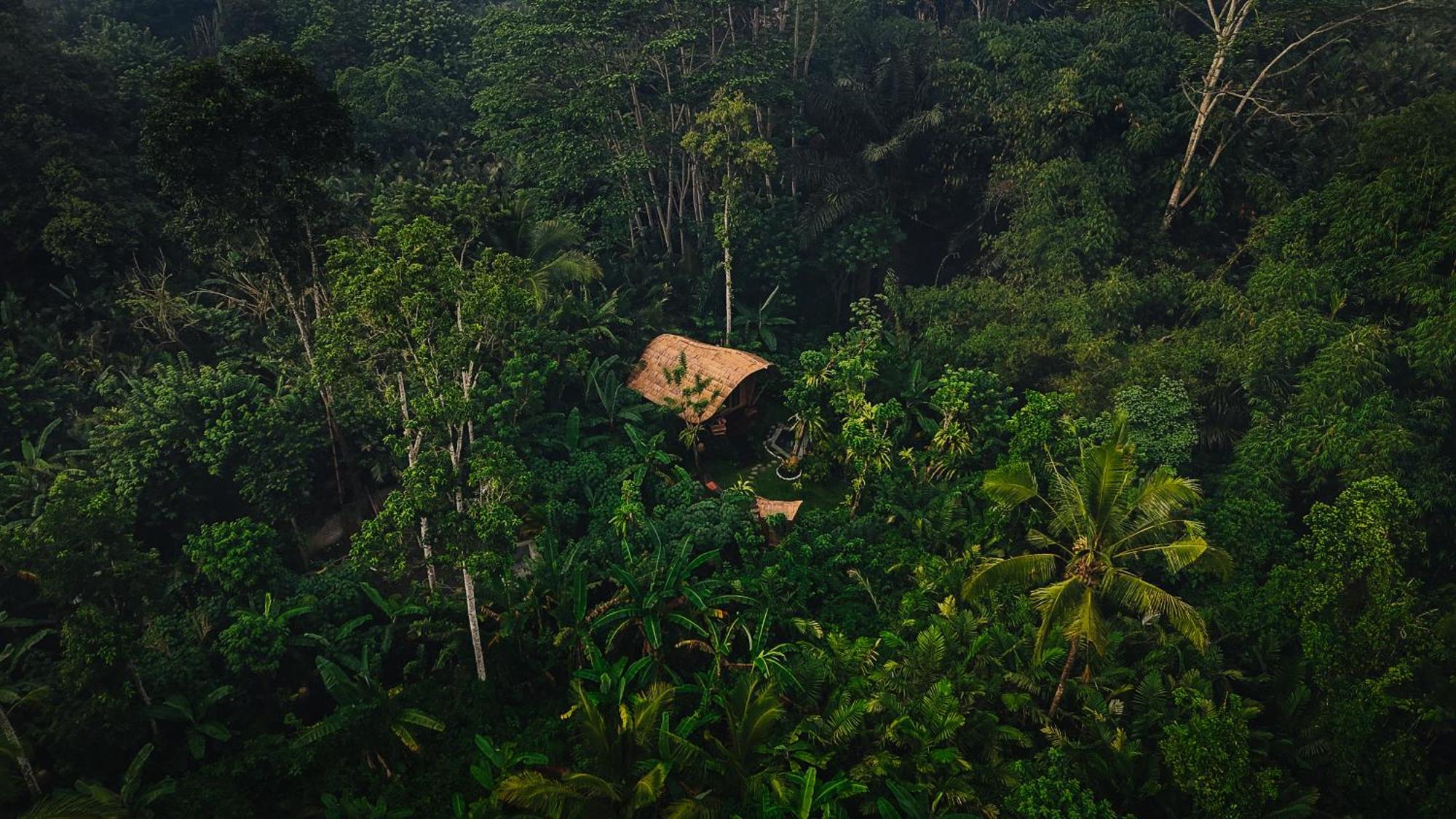 Arcada Bali Bamboo House Villa Sidemen  Exteriör bild