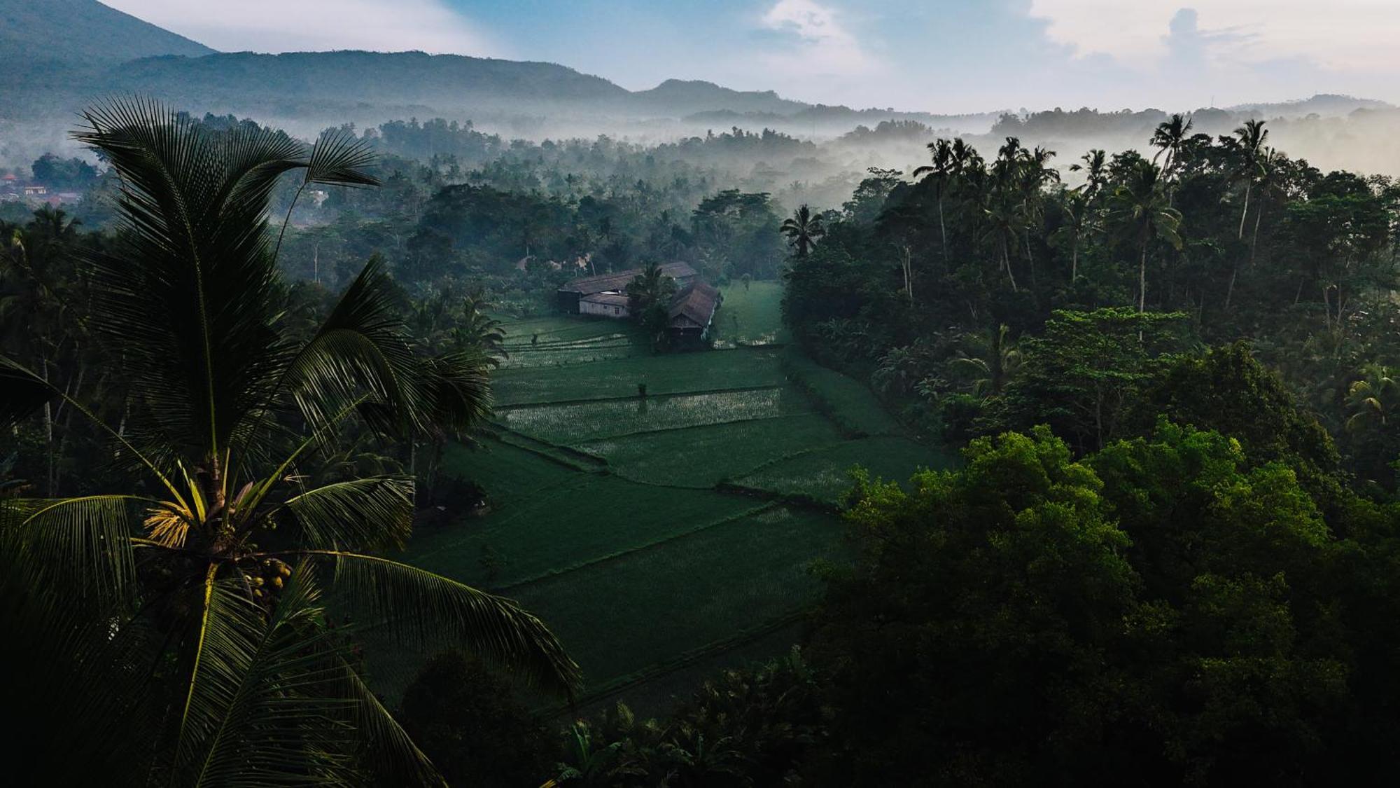Arcada Bali Bamboo House Villa Sidemen  Exteriör bild