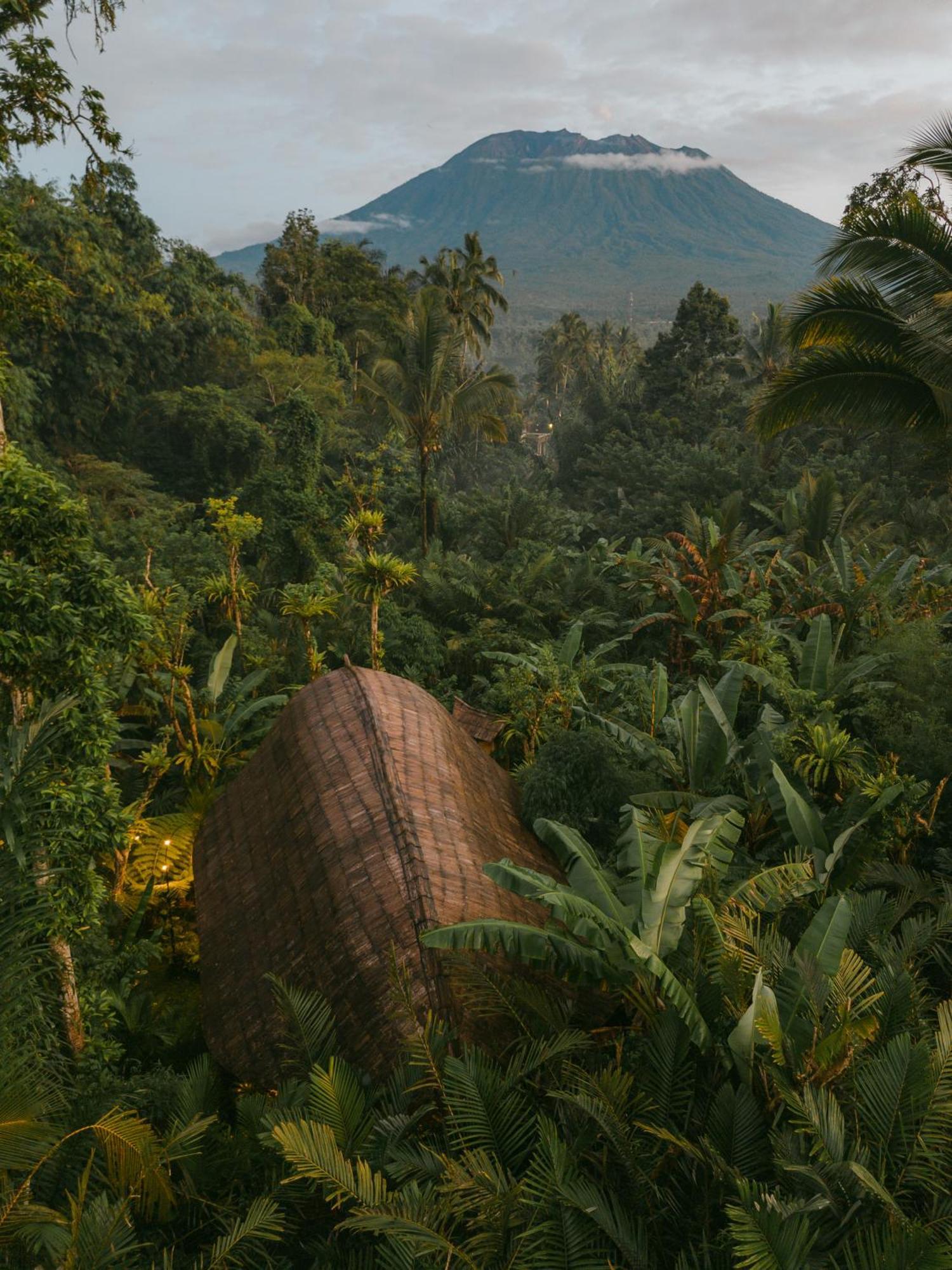 Arcada Bali Bamboo House Villa Sidemen  Exteriör bild